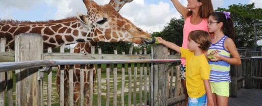 Zoo Miami is First Zoo in Florida to Earn Certified Autism Center Designation