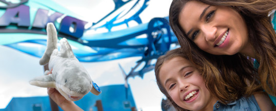 SEAWORLD ORLANDO IS NOW A CERTIFIED AUTISM CENTER