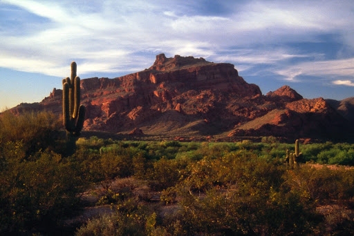 15 Mesa Parks canyons