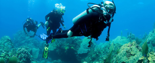 Scuba Diving and Autism Part 1: Autism and Affinity for Water