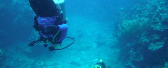 Scuba Diving and Autism Part 2: How Autism Certification Helps