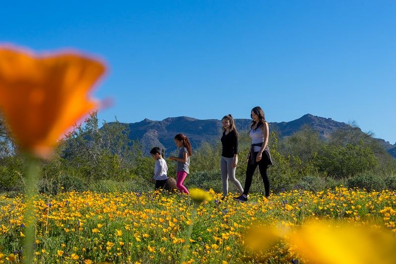 Mesa Hike