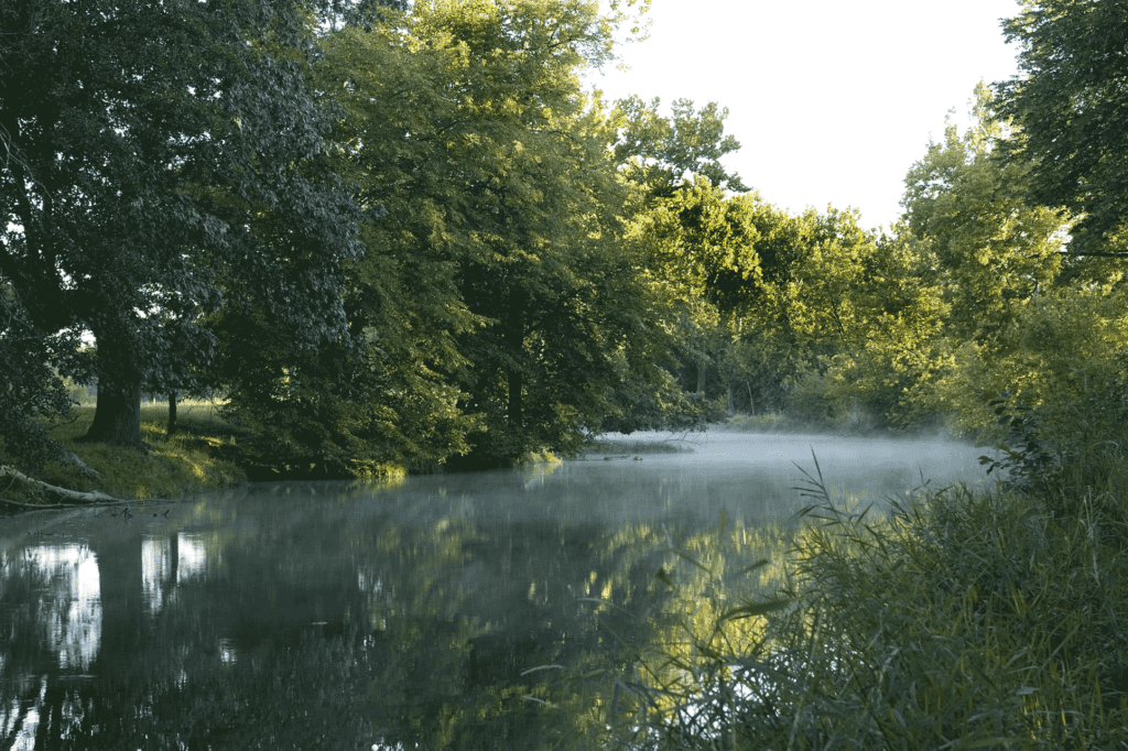 Four Rivers Environmental Education Center canal