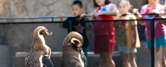 Santa Barbara Zoo Renews Certified Autism Center™ Designation, Continuing Commitment To Welcoming All Visitors