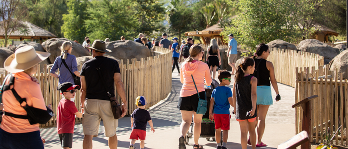 Rhino Savanna Boardwalk_PhotoCredit/TaraHoward-53