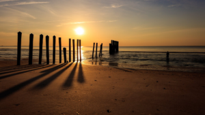 Visit Jax beach