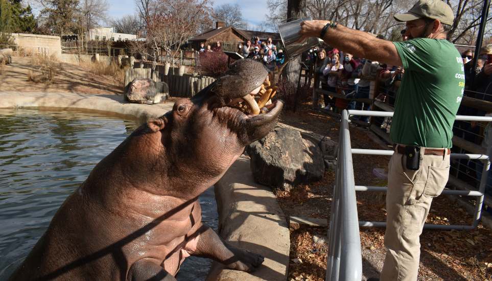 Denver Zoo